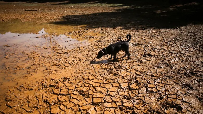 El Nino could cause 451,000 more heat-related deaths worldwide