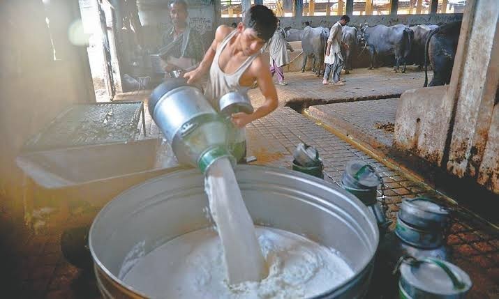 Dairy farmers urge immediate notification of revised milk prices