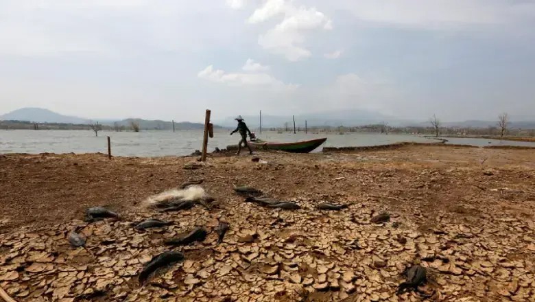 El Nino to intensify further before peaking in December: UN