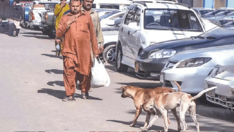 Tharparkar man dies of rabies at Karachi hospital as this year’s death toll rises to 38