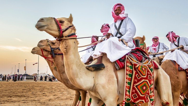 Saudi Arabia denies approving camel urine-based medicine to treat cancer