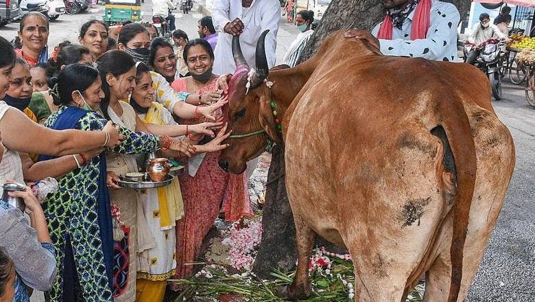 Muslim men sentenced to life imprisonment in India’s Gujarat for cow slaughter