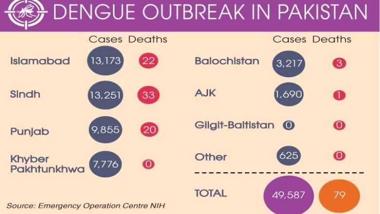Rising dengue cases set off alarm bells
