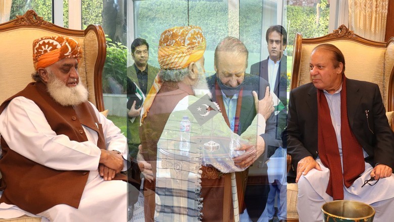 نواز شریف اور فضل الرحمان کی ملاقات، الیکشن کے حوالے سے بڑے فیصلے