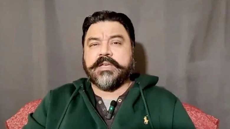 عادل راجہ لندن میں گرفتار، سفارتی ذرائع