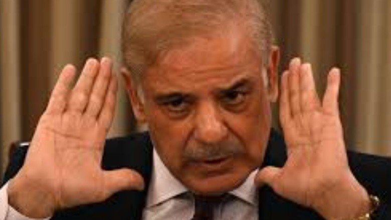 شہباز شریف کی آزاد امیدواروں کو وفاق میں حکومت بنانے کی دعوت