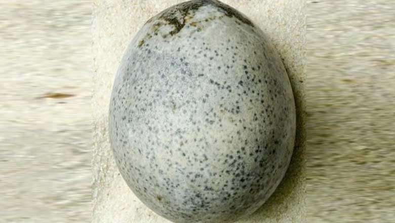 برطانیہ سے 1700 سال قدیم بالکل ٹھیک انڈا دریافت