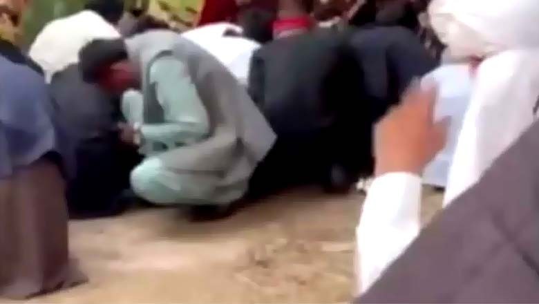 شہریوں کو عید پر پکنک منانا مہنگا پڑ گیا، شہد کی مکھیوں کاحملہ