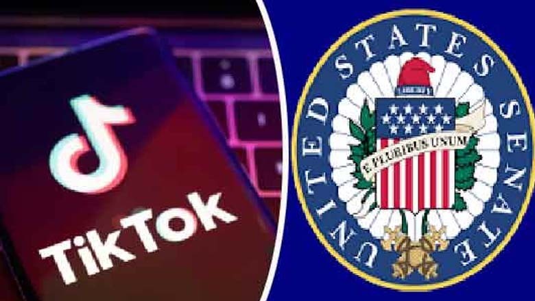 امریکا: ٹک ٹاک پر پابندی کا بل سینیٹ سے بھی منظور ہوگیا