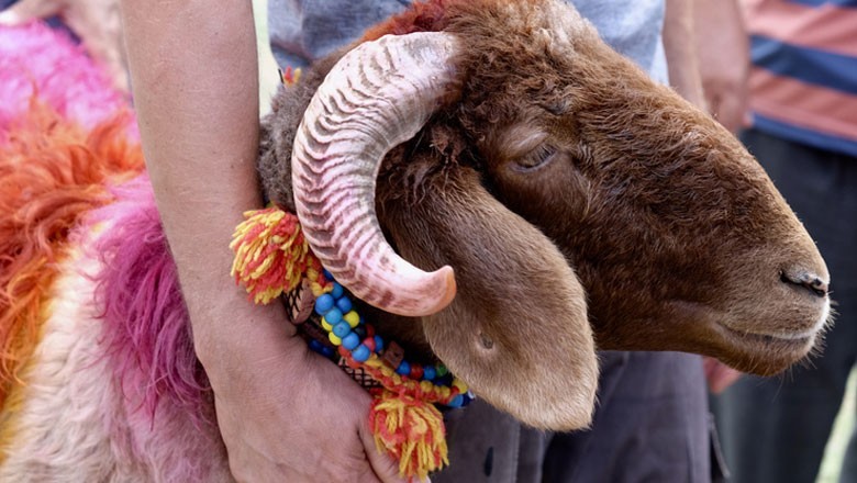 پاکستان میں عید الاضحیٰ کی ممکنہ تاریخ سامنے آگئی