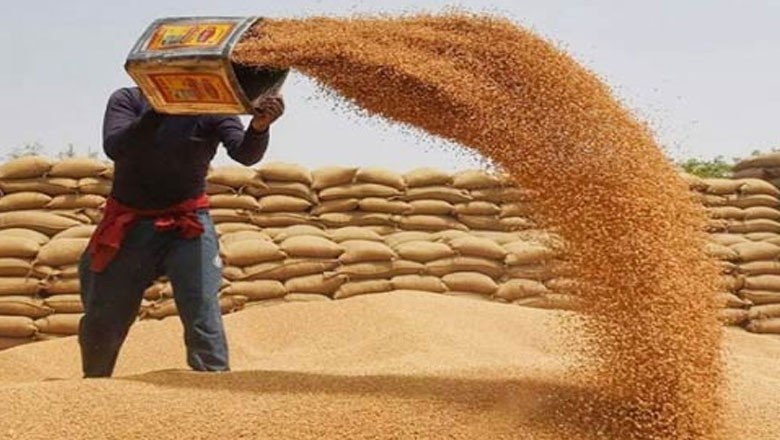 گندم درآمد اسکینڈل میں نگراں حکومت کو کلین چٹ مل گئی