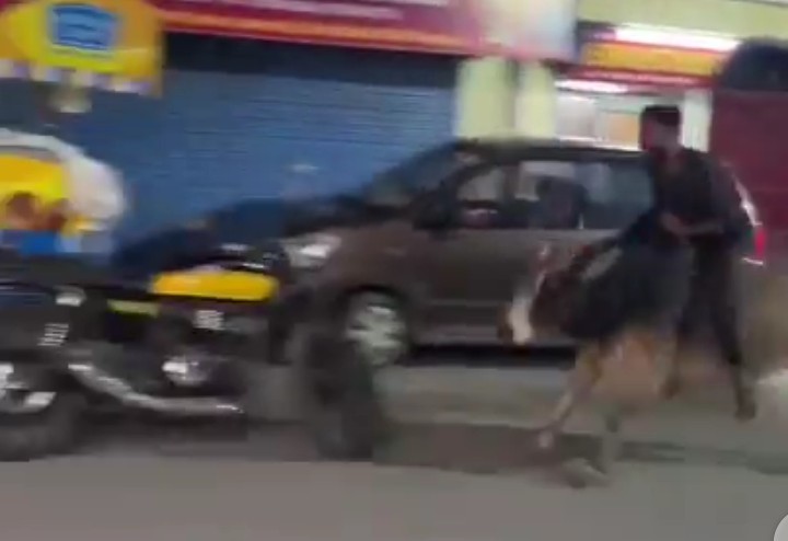 بھارت میں عجیب و غریب واقعے کی ویڈیو وائرل، سب حیران