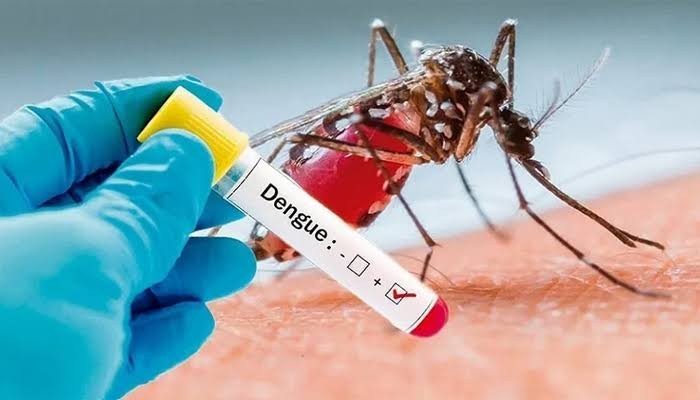 سندھ میں ڈینگی کے کیسز پھیلنے لگے، بچہ جاں بحق، 500 مریض رپورٹ