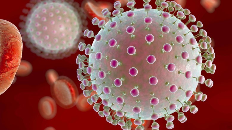 کراچی میں جان لیوا وائرس کی موجودگی کا انکشاف