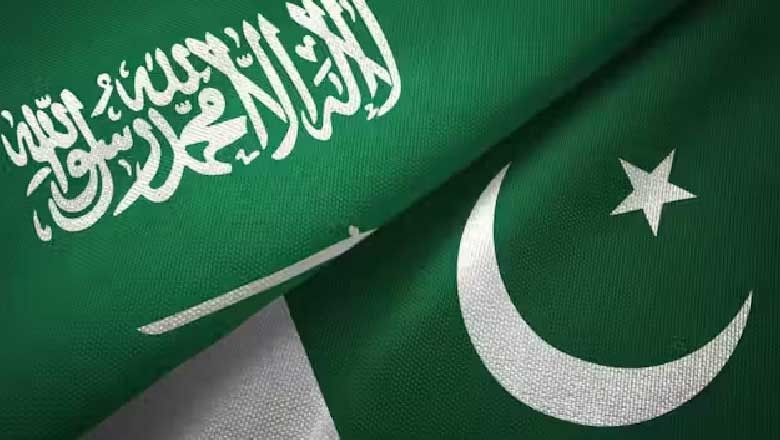 آئی ٹی والے پاکستانیوں کیلیے خوش خبری، سعودی عرب نے بڑی سہولت فراہم کردی