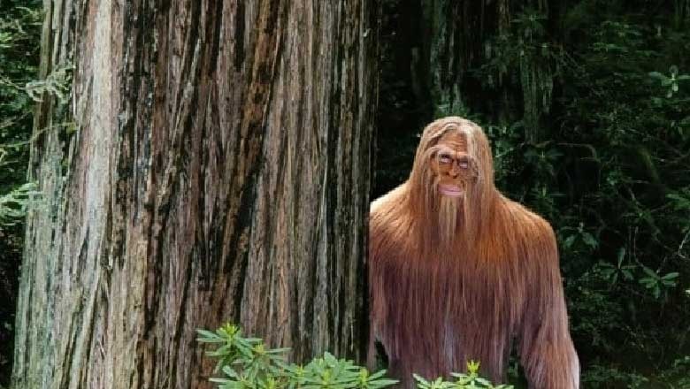 امریکی نوجوانوں  جنگل میں دیو قامت خوفناک مخلوق دیکھ کر ہواس باختہ