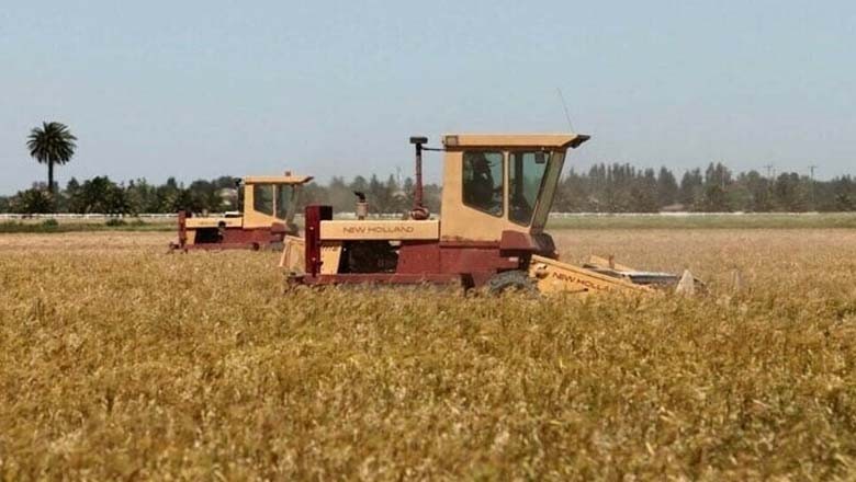 چاروں صوبوں نے آئی ایم ایف کا مطالبہ تسلیم کرلیا