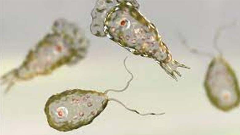 کراچی میں نیگلیریا وائرس نے ایک اور نوجوان کی جان لے لی