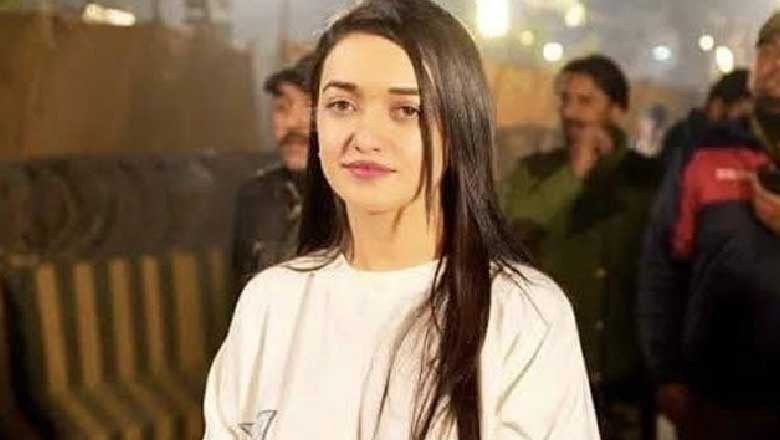 صنم جاوید پھر گرفتار، عمران خان کا ساتھ نہ چھوڑنے کا اعلان