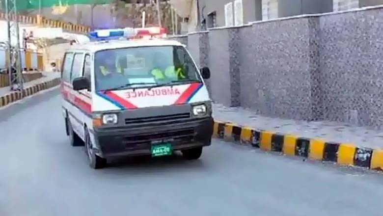 ایبٹ آباد میں ماں نے 3 بچوں کو ذبح کردیا