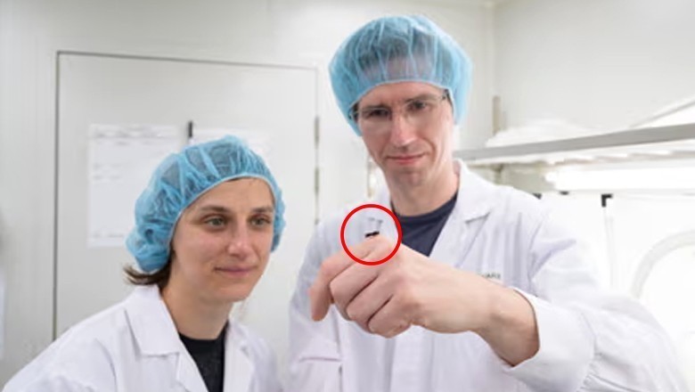 آسٹریلوی سائنس دانوں نے زمین کو محفوظ بنانے کیلیے مکھی ایجاد کرلی