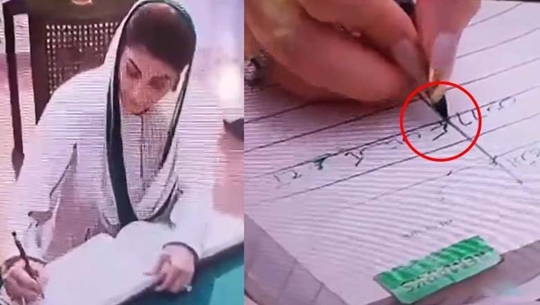 مریم نواز سوشل میڈیا پر کیوں تنقید کی زد میں آگئیں؟