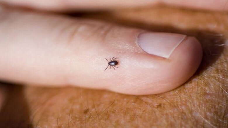 کراچی میں کانگو پھیلنے لگا، اموات اور کیسز رپورٹ