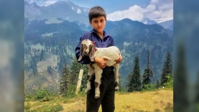 سستے ترین آئی فون سے لی گئی تصویر نے مقابلہ جیت لیا