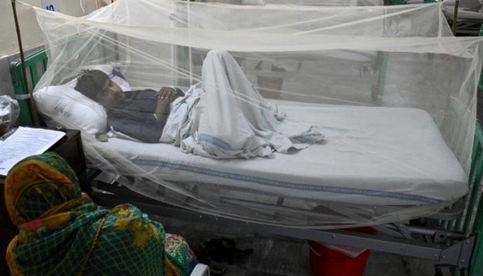 پنجاب میں بارشوں کے بعد خطرناک وائرس پھیلنے کگا، لوگ متاثر