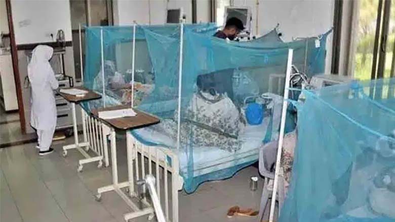 پنجاب: ڈینگی کے مزید 22 کیسز سامنے آ گئے