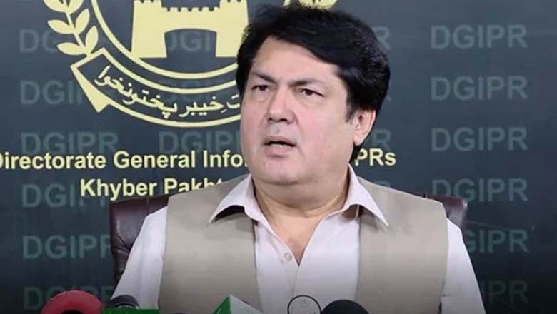 آئینی ترامیم کا مقصد سپریم کورٹ پر شب خون مارنا ہے، بیرسٹر سیف