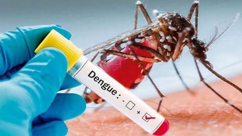 کراچی سمیت مختلف شہروں کے لیے ڈینگی الرٹ جاری کردیا گیا