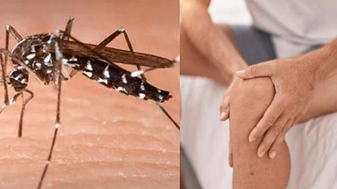 چکن گونیا 118 ممالک تک پھیل گیا