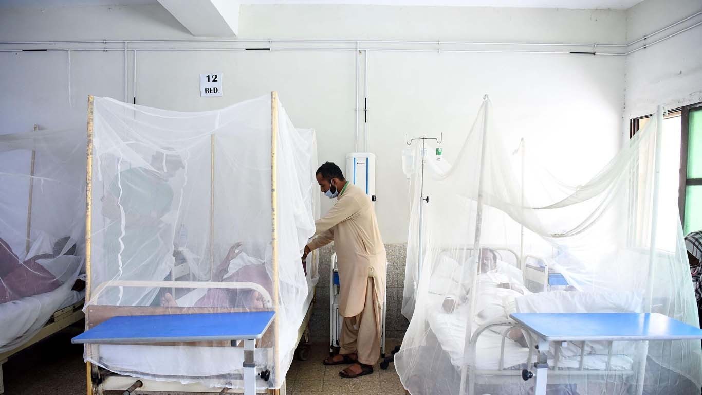 مچھروں کی بہتات، جیکب آباد میں سیکڑوں شہری ملیریا میں مبتلا