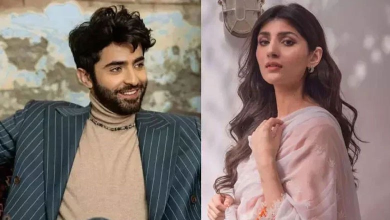 شہریار منور اور اداکارہ ماہین صدیقی کی شادی کی افواہیں