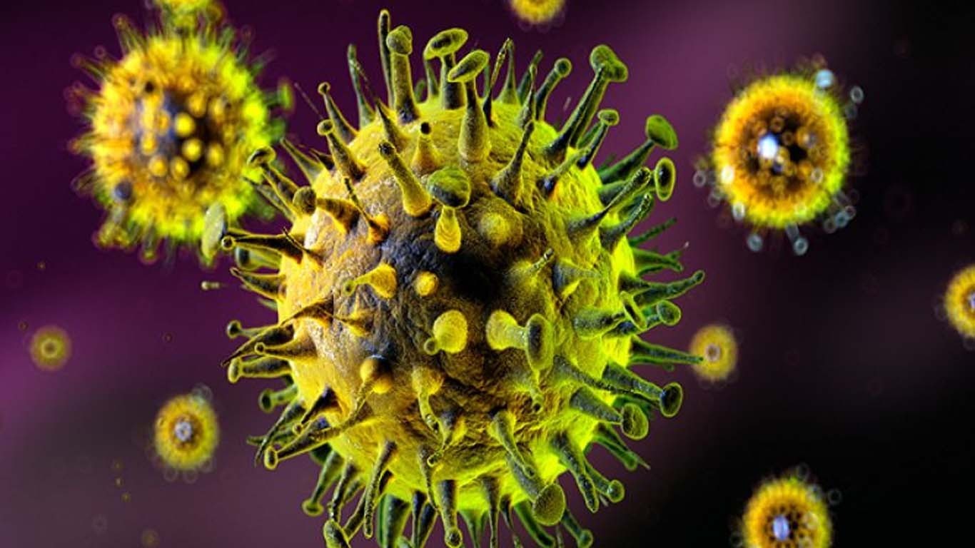 تنزانیہ میں مشتبہ ماربرگ وائرس سے 8 افراد لقمہ اجل بن گئے