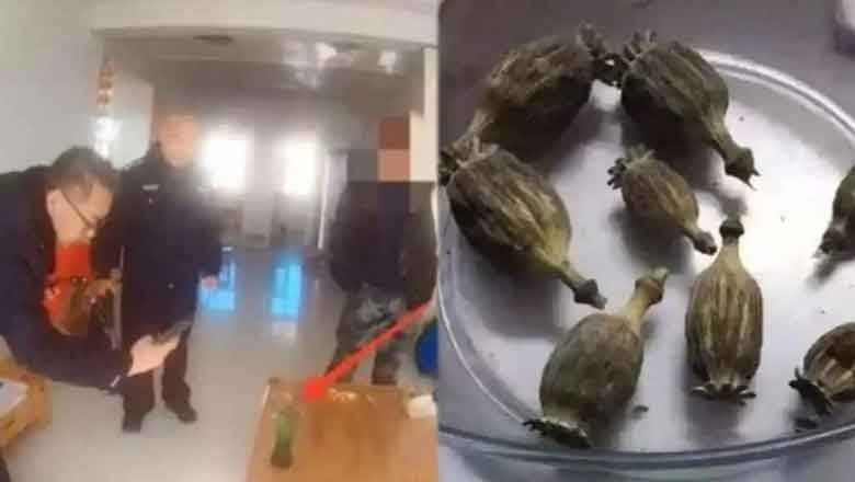 10 سالہ بچے کا ڈانٹ ڈپٹ پر والد سے انتقام، پولیس کا مخبر بن کر گرفتار کروادیا