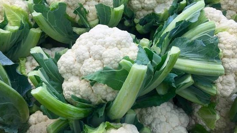 کسان نے غصے میں 50 من گوبھی لوگوں میں تقسیم کردی