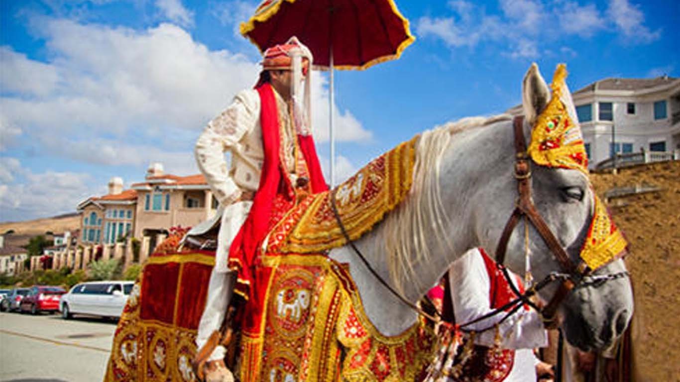 بارات میں رقص کے دوران دولہا گھوڑے سے گر کر ہلاک، ویڈیو وائرل