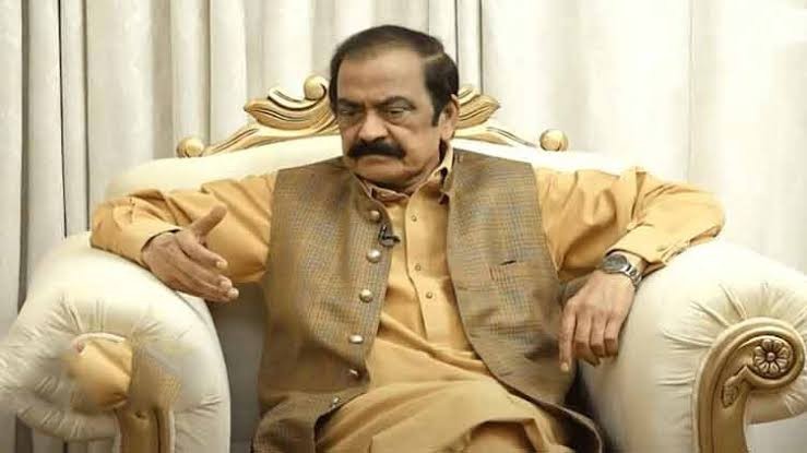کرکٹ ہو سیاست نے تباہ کیا، پی سی بی حکام کی مراعات اور تنخواہیں آسٹریلیا سے بھی زیادہ ہیں، رانا ثنا