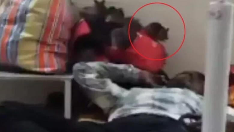 بھارت کے سرکاری اسپتال میں مریض کے سر پر چوہوں کا گشت، ویڈیو سامنے آگئی
