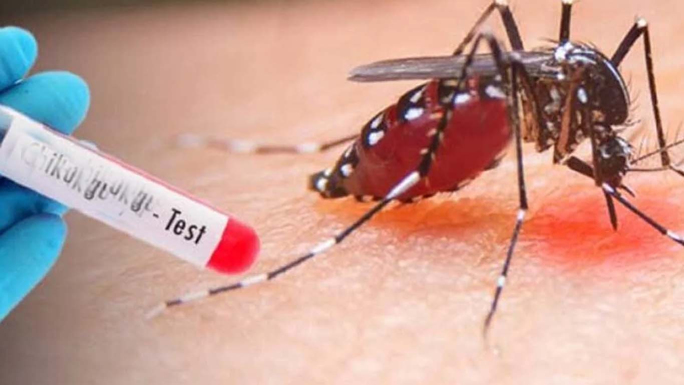 کراچی سمیت سندھ بھر میں ملیریا اور ڈینگی کیسز میں اضافہ