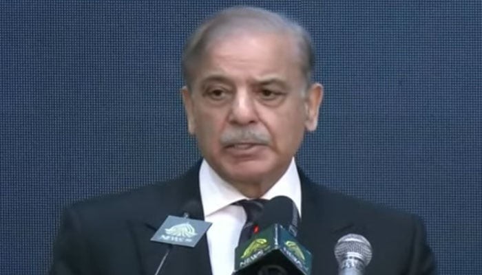 بجلی کی قیمت میں کمی کا اعلان، گھریلو صارفین کیلیے یونٹ کتنے کا ہوگیا؟