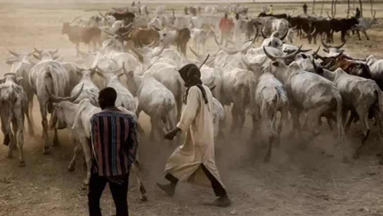 مویشی چرانے پر کسانوں اور چراہوں کے تصادم میں 56 افراد ہلاک