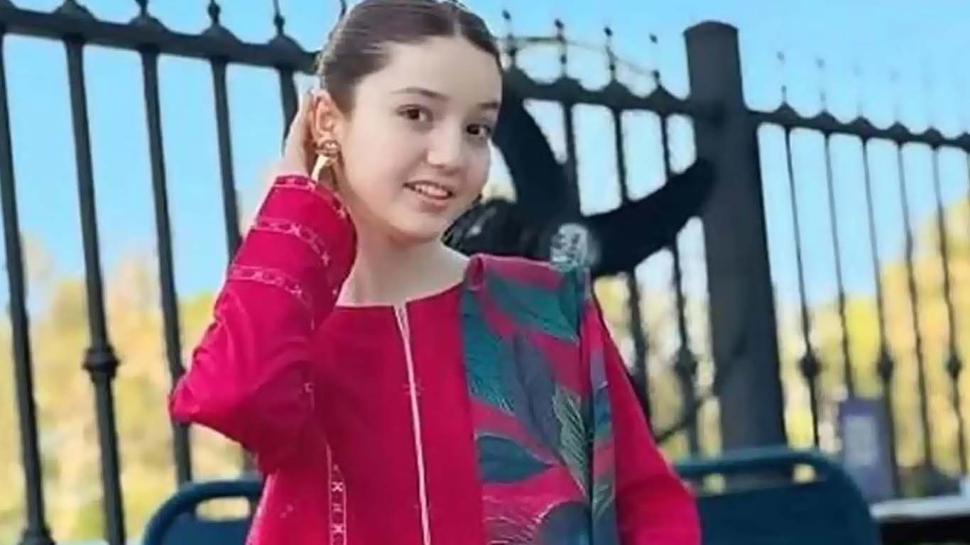 ٹک ٹاکر ثنا یوسف کا قتل، ملزم نے بہن کو بھی قتل کرنے کی کوشش کی