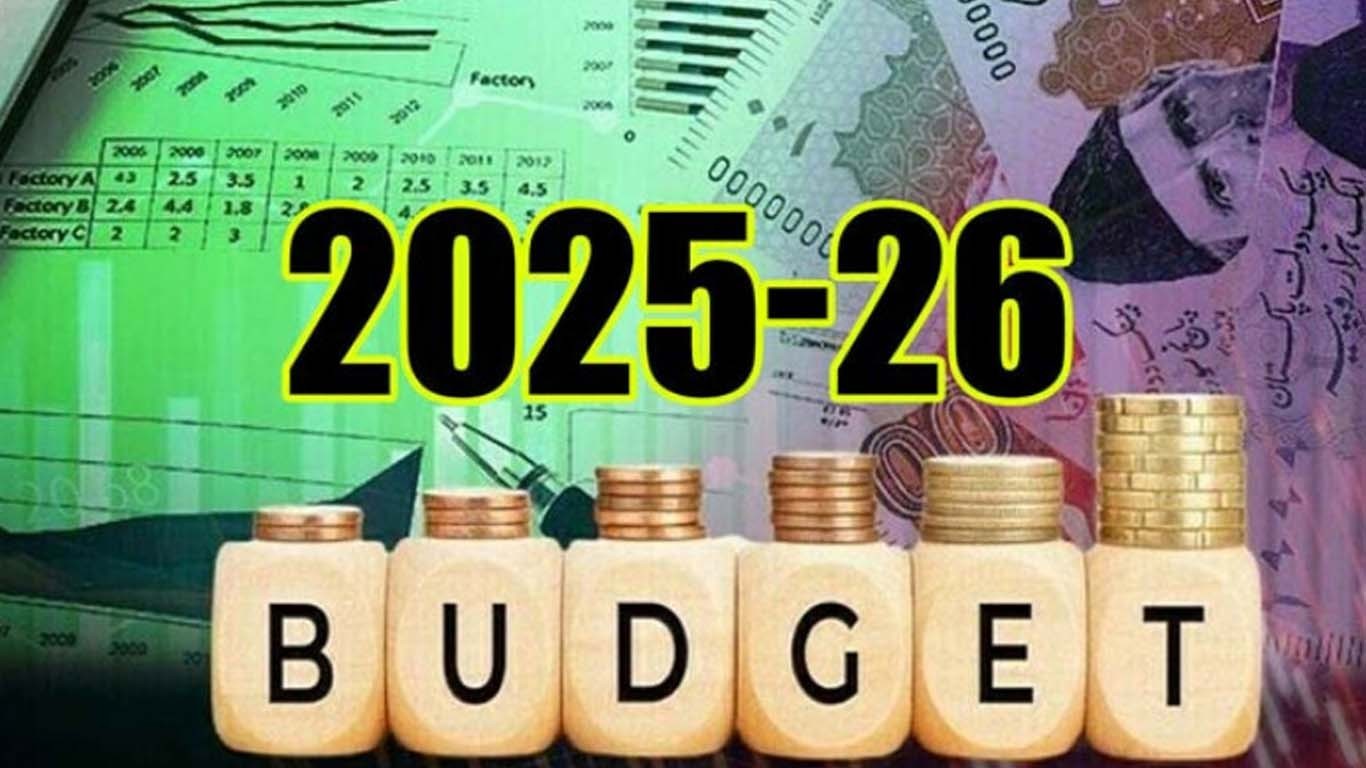 بجٹ 2025: سود ادائیگیوں کیلیے 8207 ارب روپے مختص