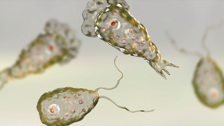 کراچی کے پانی میں دماغ کھانے والا جرثومہ، رواں سال کی چوتھی موت