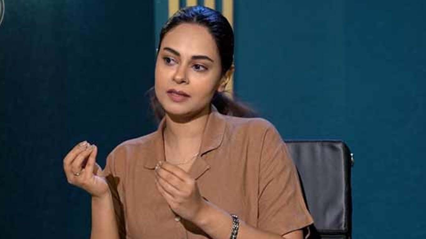 چند انتہا پسند افراد ہیں جو اشتعال انگیزی پھیلاتے ہیں، امر خان