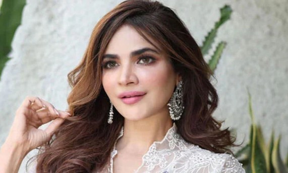 حمیرا اصغر نے مرنے سے چند منٹ قبل کیا کام کیا؟ مزید نئے انکشافات