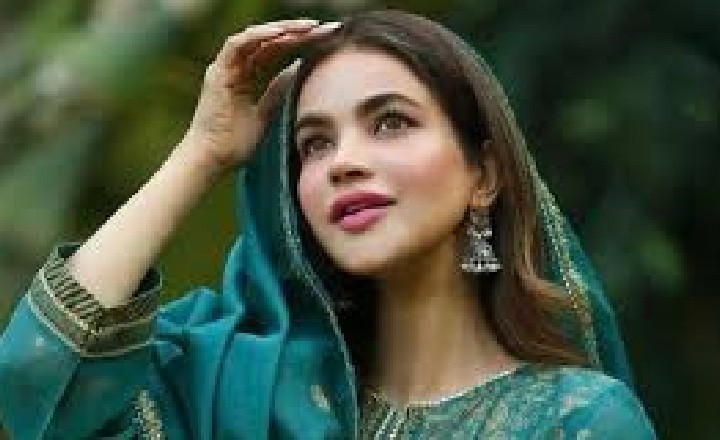 حمیرا کا واٹس ایپ فروری میں بھی استعمال ہوا، اسٹائلسٹ کے تہلکہ خیز بیان کے بعد پولیس تفتیش کا رخ تبدیل